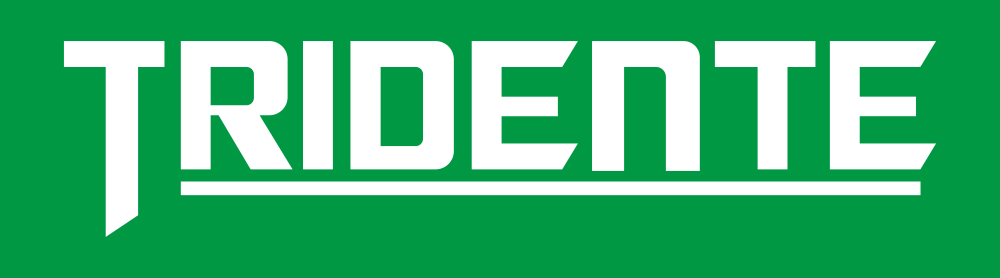 Logo TRIDENTE